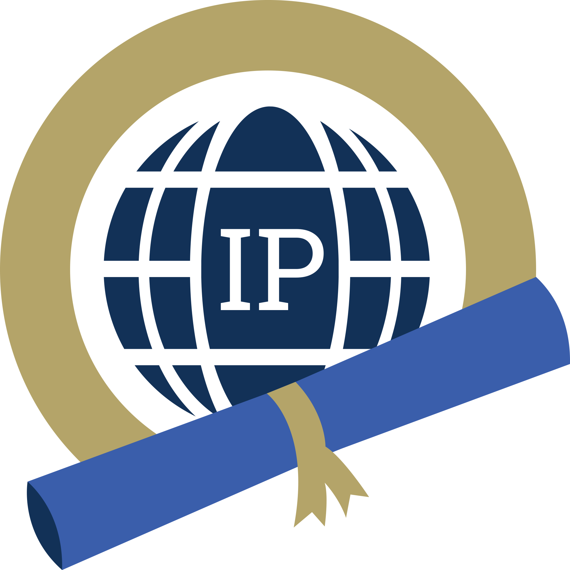 an International Plan logo featuring a navy blue globe icon with a rolled up diploma encircled in a gold circle.